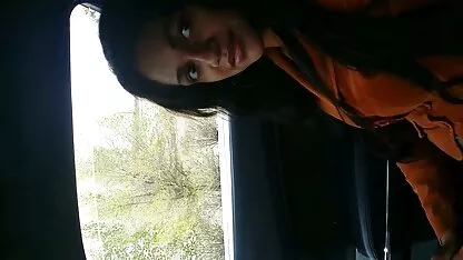 Một con chó cái trưởng thành vuốt ve mình sec mẹ con trong tự nhiên